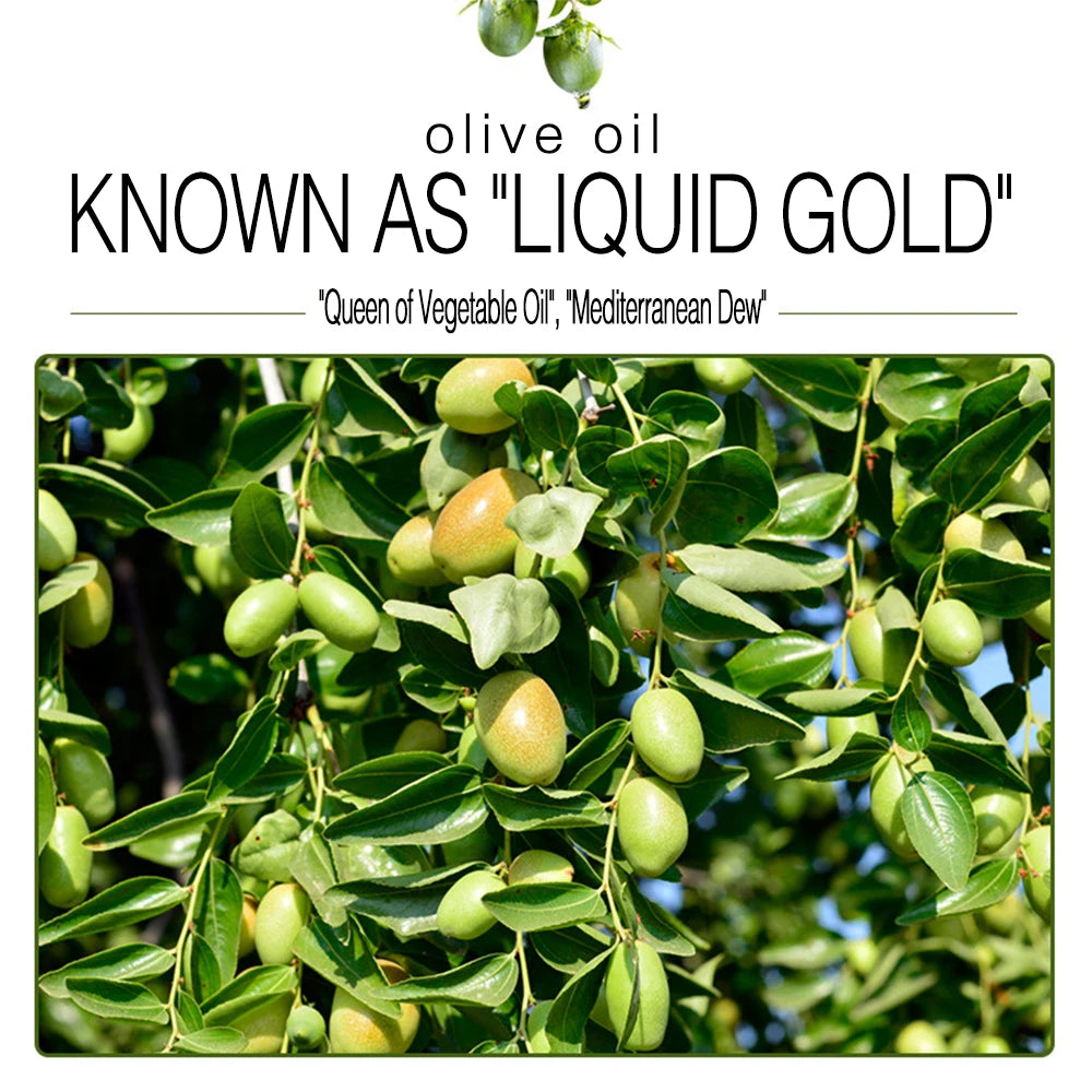 100% Natural Organic Olive Oil. Day  Night Moisturizer for Skin Hair Care Face Cuticle  Nail Care Natural Body Oils 100ml