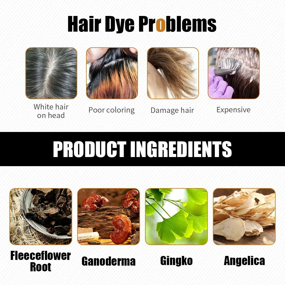 DISAAR 400ML Cover Grey Hair Morocco Argan Oil Care Fast Magic Black Hair Shampoo Dye Repair Damaged Improve Split Hair Rough